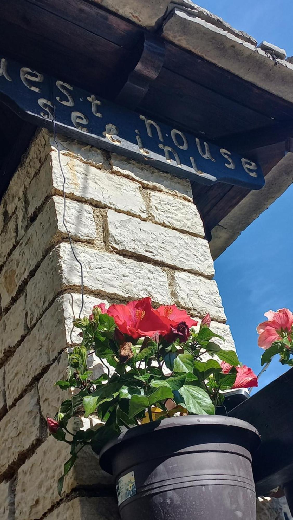 Guesthouse Selini Вица Екстериор снимка